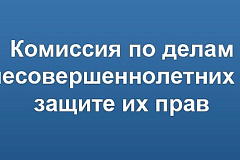 Состав комиссии по делам несовершеннолетних и защите их прав района Зябликово города Москвы