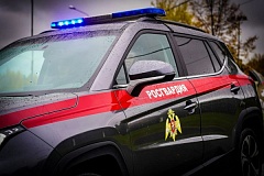 Сотрудники инженерно-технического отдела ОМОН «Аванград» Главного управления Росгвардии по городу Москве провели выводку кинологических собак.  На мероприятии были проверены натренированность питомцев, состояние экипировки инвентаря для ухода, чистота вол