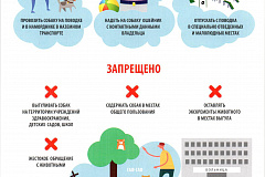 Временные правила содержания собак и кошек в г. Москве, памятки для владельцев домашних животных